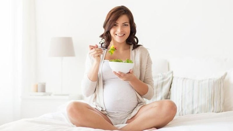 Panduan Pola Makan Sehat untuk Ibu Hamil Agar Bayi Tumbuh Optimal – PAFI Kota Metro